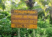 Belum Rampung Sengketa Lahan, Kebun Sawit Milik Yayasan Al-Itisham Dijarah