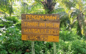 Belum Rampung Sengketa Lahan, Kebun Sawit Milik Yayasan Al-Itisham Dijarah