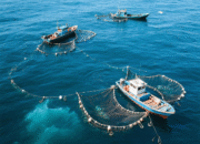 Maraknya Kejahatan Maritim, DPRD Dorong Perkuat Ketahanan Laut Berau