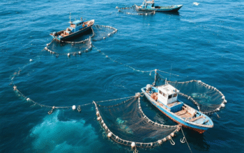 Maraknya Kejahatan Maritim, DPRD Dorong Perkuat Ketahanan Laut Berau