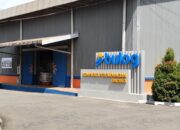 Beras Kita Rusak Harga Pasar.? ini Penjelasan Resmi Dari Bulog