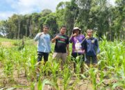 Pemuda Tani Biduk-Biduk Jadi Motor Penggerak Ketahanan Pangan di Kampung