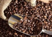 Sakirman Dorong Kopi Lokal Berau Lebih Diekspose, Manfaatkan Tren Warkop