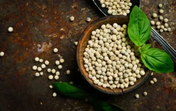 Lada Berau Masuk Tahap Verifikasi, Sukan Tengah Disiapkan Tembus Pasar Lebih Luas