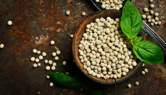 Lada Berau Masuk Tahap Verifikasi, Sukan Tengah Disiapkan Tembus Pasar Lebih Luas