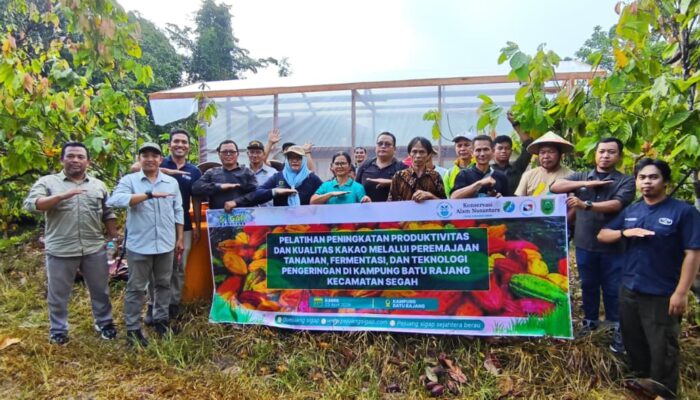 Ekspansi Budidaya Kakao di Batu Rajang, Petani Didorong Tingkatkan Produktivitas