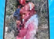 Suami Bacok Istri, Tragedi Dipicu Urusan Rumah Tangga