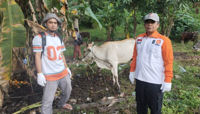 PKS Berau Salurkan Hewan Kurban, Targetkan Distribusi Daging Lebih Luas
