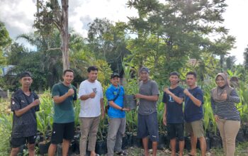 Program SIGAP Sejahtera Perkuat Hulu hingga Hilirisasi Kelapa di Berau