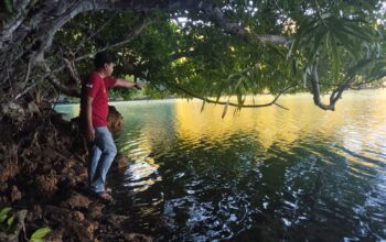 Nelayan Maratua Tewas Diterkam Buaya Saat Mencari Kerang di Danau Kuku