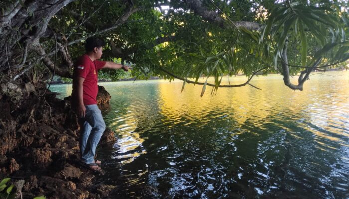 Nelayan Maratua Tewas Diterkam Buaya Saat Mencari Kerang di Danau Kuku