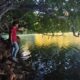 Nelayan Maratua Tewas Diterkam Buaya Saat Mencari Kerang di Danau Kuku