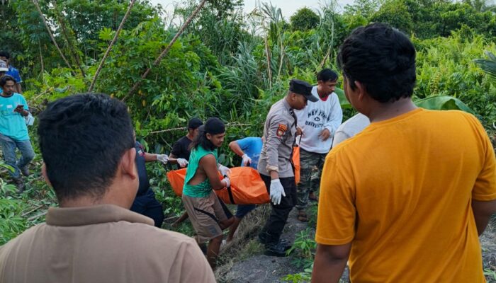 Pria Ditemukan Tewas Gantung Diri di Labanan, Petugas Lakukan Evakuasi Cepat