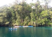 Hari Konservasi Mangrove: Saatnya Memperkuat Pengelolaan Berbasis Masyarakat