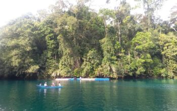 Hari Konservasi Mangrove: Saatnya Memperkuat Pengelolaan Berbasis Masyarakat