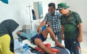 Diserang Buaya di Tabalar Muara, Pria 56 Tahun Selamat