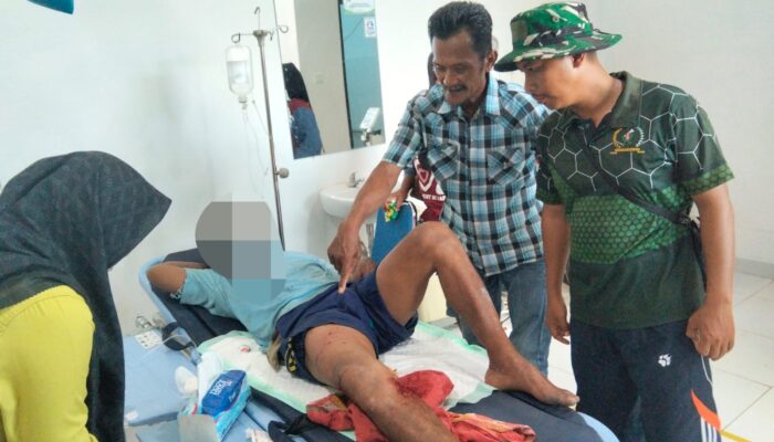 Diserang Buaya di Tabalar Muara, Pria 56 Tahun Selamat