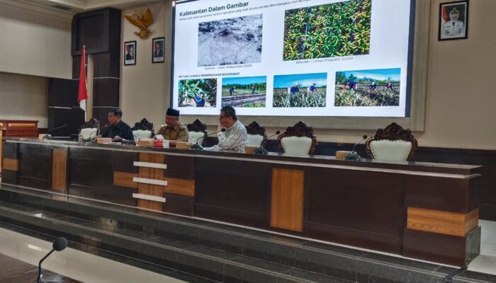 Kemiri Sunan Jadi Solusi Reklamasi Tambang, ESDM Dorong Nilai Ekonomi dan Energi Alternatif