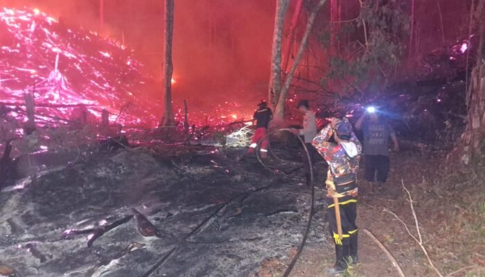 Sudah 59 Hektare, Karhutla Kecamatan Derawan Jadi Ancaman Susulan