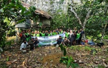Tingkatkan Produksi Kakao, Program Pejuang SIGAP Sejahtera dan YDBCC Gelar Sekolah Budidaya Kakao di Kecamatan Kelay