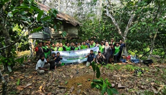 Tingkatkan Produksi Kakao, Program Pejuang SIGAP Sejahtera dan YDBCC Gelar Sekolah Budidaya Kakao di Kecamatan Kelay